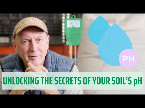 Unlocking the Secrets of Soil pH: A Key to Thriving Crops