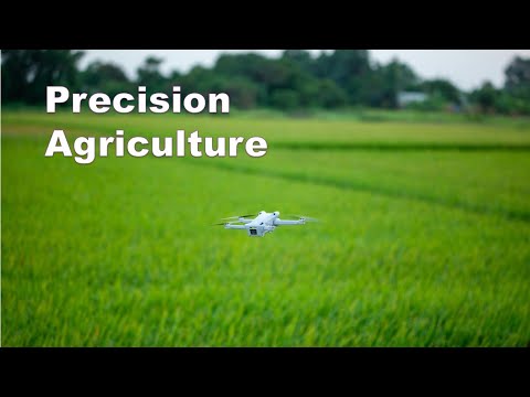 Precision Agriculture: The Future of Sustainable Farming